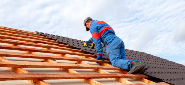 Best Solar Panel Roofing Installation  in Capitol View, SC